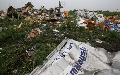 Родственники жертв рейса MH17 просят опубликовать радиолокационные изображения