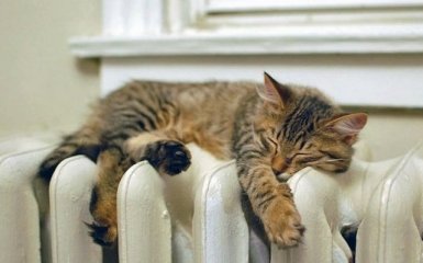 Первые результаты работы комиссии по проблемам отопления квартир Киева