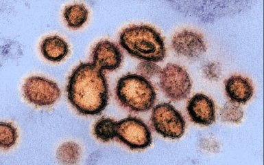 Звідки з'явився новий коронавірус: уряд Британії назвав свою версію