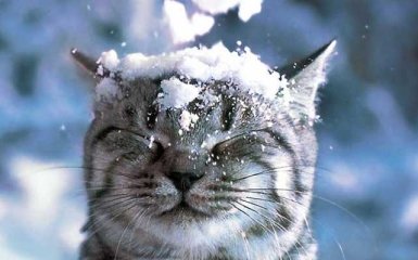 В Украине ожидается существенное ухудшение погоды