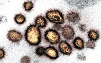 В МОЗ раскрыли чрезвычайно важные факты о коронавирусе - что следует знать