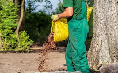 В Киеве открыли 10 пунктов утилизации новогодних ёлок