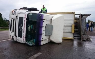 В Харькове произошло ДТП со свиньями: появились фото и видео