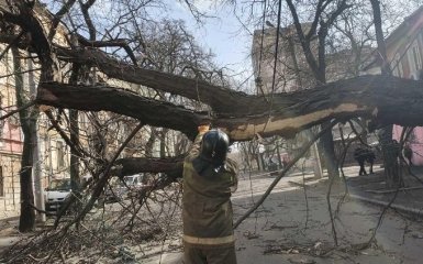 Ураган убил женщину в Одессе - шокирующие подробности