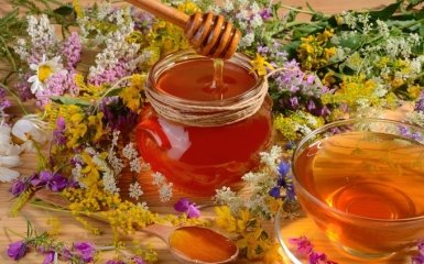 Мед — чем полезен и вреден для организма