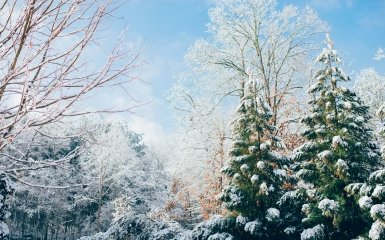 Погода в Украине - чего ждать дальше