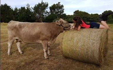 Девушка из Новой Зеландии, которая ездит верхом на корове, покоряет соцсети: появились фото и видео