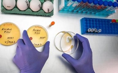 Пташиний грип