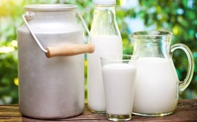 Минагрополитики откладывает запрет на закупку молока у населения