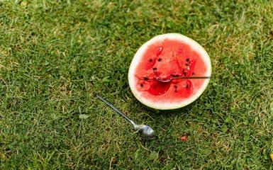 Фермери на Херсонщині масово знищують кавуни