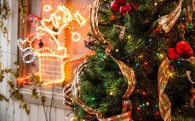 Живая или искусственная: какую елку лучше купить на Новый год