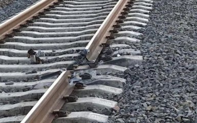 Партизани пошкодили залізницю у Криму. Рух поїздів зупинено