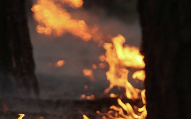 “Bavovna” in Russia on August 3 — first details