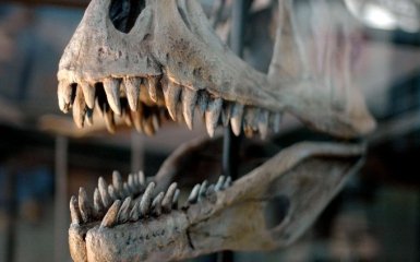 Ученые удивили мир новым исследованием по динозаврам и вымиранию
