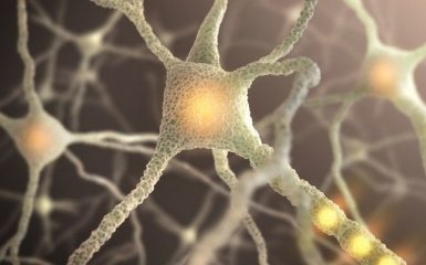 Вчені розробили технологію лазерного зварювання нейронів один з одним