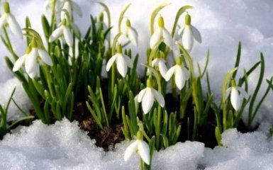 Потрібно ще потерпіти: названо терміни початку весняного потепління в Україні