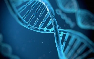 Ученые впервые создали способную размножаться геномную ДНК