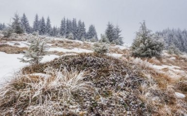 В Украине внезапно выпал первый снег - зрелищные фото и видео