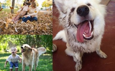 Речі, яким можна повчитися у наших собак (15 фото)