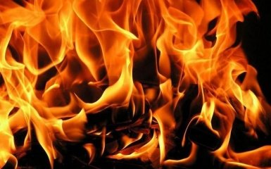 Очевидцы делали селфи на фоне масштабного пожара во Львове: опубликовано видео