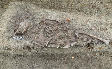 В Польше откопали останки обезглавленного ребенка времен раннего Средневековья В Польше археологи раскопали останки обезглавленного средневекового ребенка