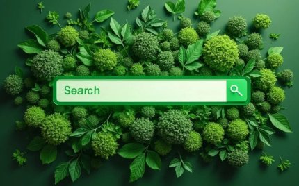 Два европейских стартапа создают вебраузер для конкуренции с Google 