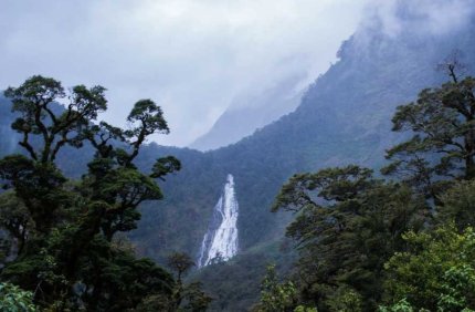 Ученые нашли янтарь в Антарктиде в возрасте более 90 млн лет Ученые впервые нашли янтарь в Антарктиде