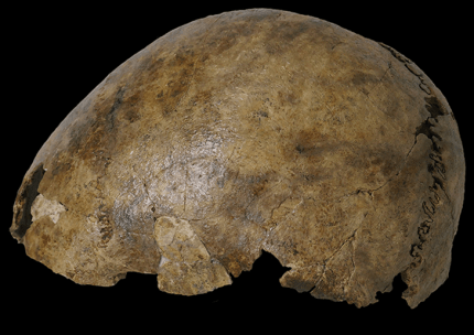 У Бельгії знайшли скелет з решток людей різних епох 