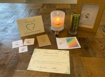 Жительнице Британии ошеломило возвращение кота через несколько дней после кремации. В Британии кот совершил удивительное возвращение через несколько дней после кремации.