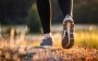 10,000 steps a day