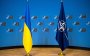 Флаги НАТО и Украины