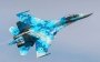 Ukrainian air defense