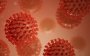 Ученые бьют тревогу из-за нового штамма коронавируса