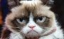 Grumpycat