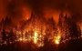 Росія у вогні: експерти вигадали, як приборкати масштабні пожежі